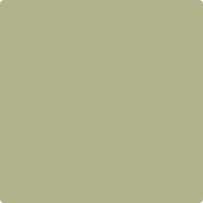 Benjamin Moore Color CC-590 Grasslands